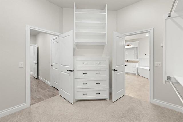 spacious closet featuring light wood finished floors and light carpet