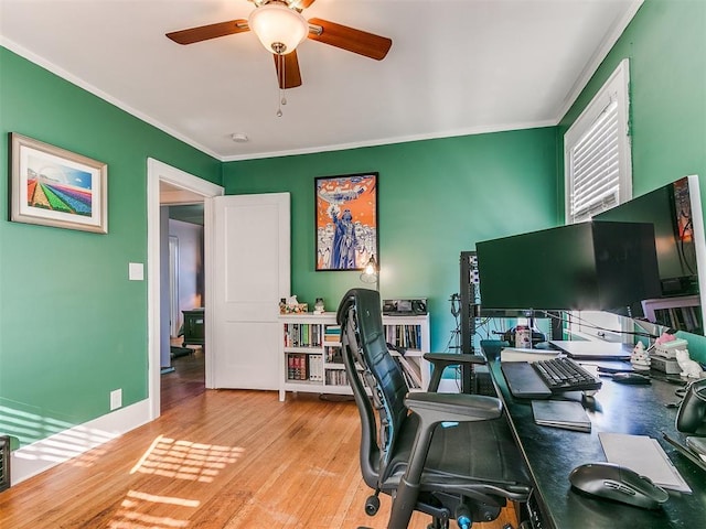 home office with ceiling fan, light hardwood / wood-style floors, and crown molding