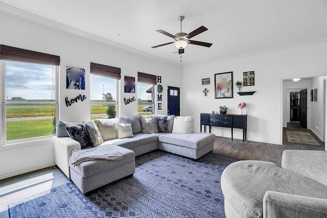 living room with ceiling fan, dark wood-type flooring, and crown molding