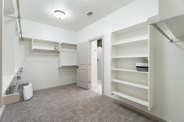 spacious closet featuring carpet flooring