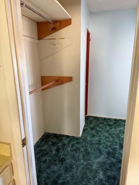 walk in closet with dark carpet