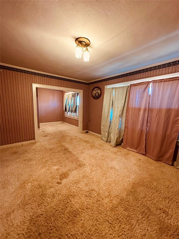 interior space featuring carpet flooring and a textured ceiling