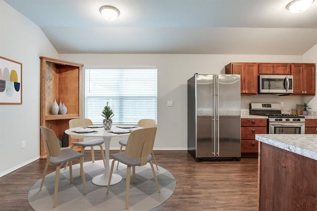 kitchen featuring vaulted ceiling, dark hardwood / wood-style flooring, and stainless steel appliances