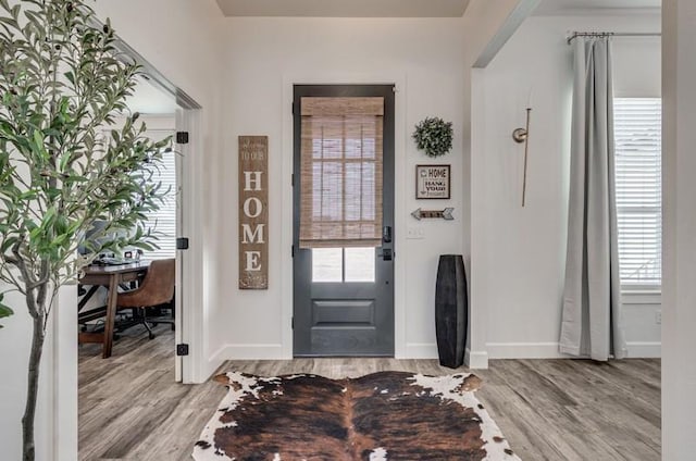 entrance foyer with light hardwood / wood-style floors