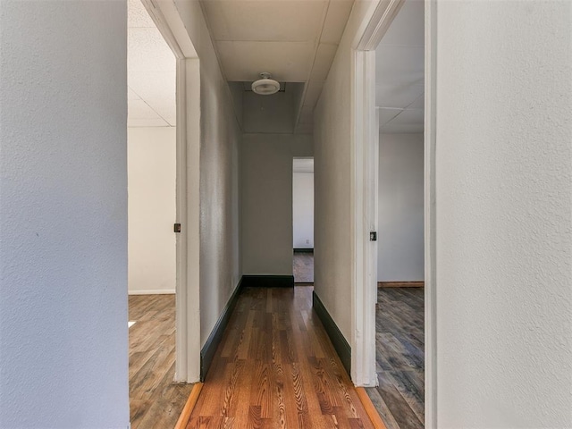 corridor with dark hardwood / wood-style flooring