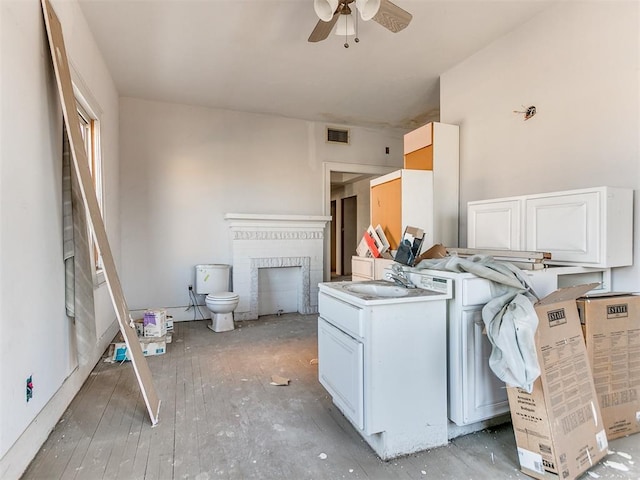 laundry area with sink, a fireplace, and ceiling fan