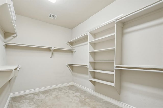 spacious closet featuring light colored carpet