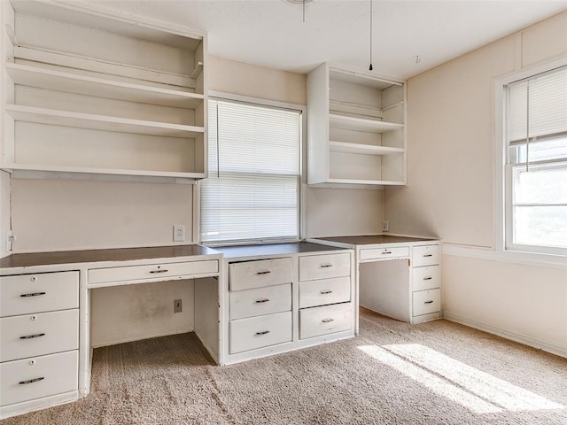 unfurnished office featuring light carpet