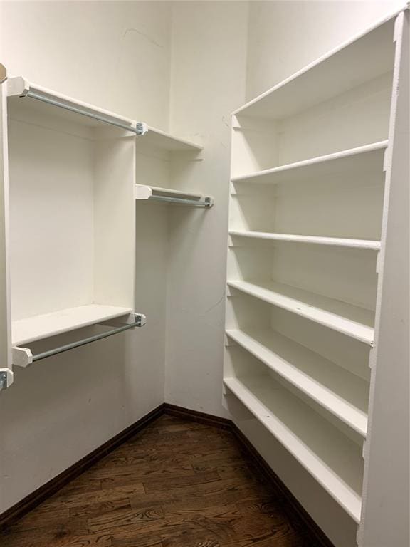 spacious closet featuring dark hardwood / wood-style flooring