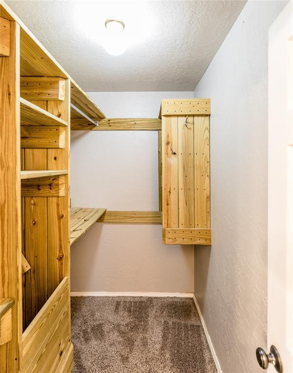 walk in closet featuring carpet flooring