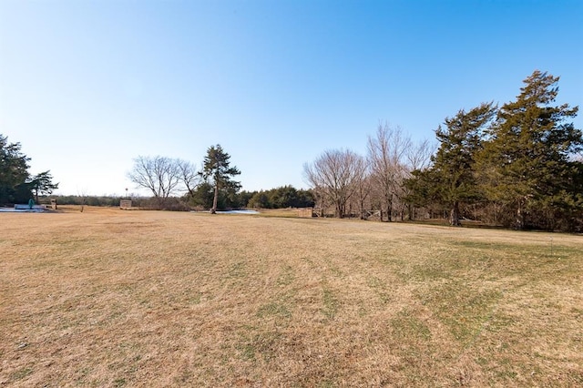 view of yard with a rural view