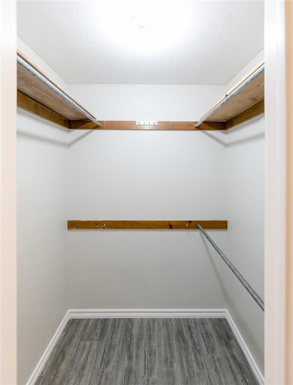 walk in closet featuring dark wood-type flooring