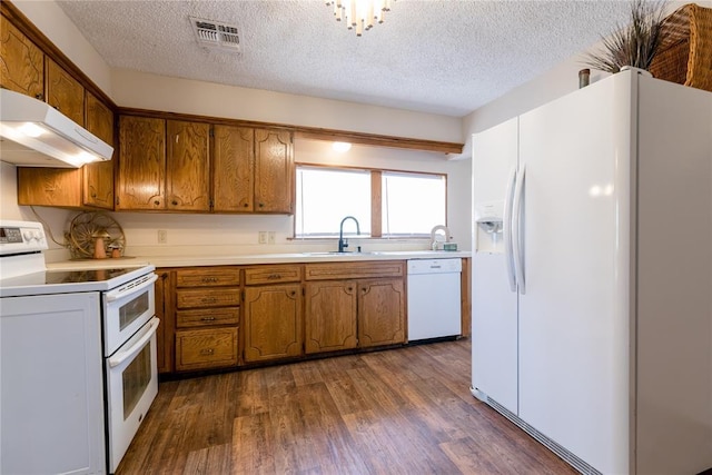 kitchen with dark hardwood / wood-style flooring, sink, white appliances, and a textured ceiling