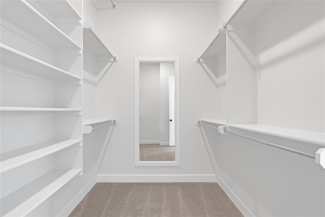 walk in closet with carpet flooring