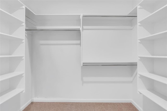 spacious closet with light colored carpet