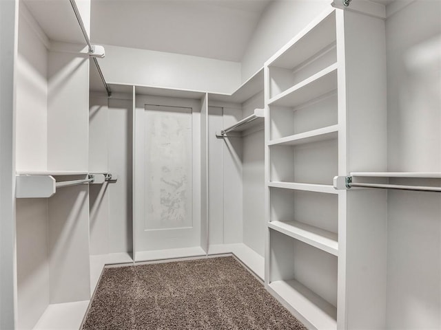 walk in closet featuring carpet floors