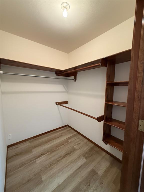 walk in closet featuring wood finished floors