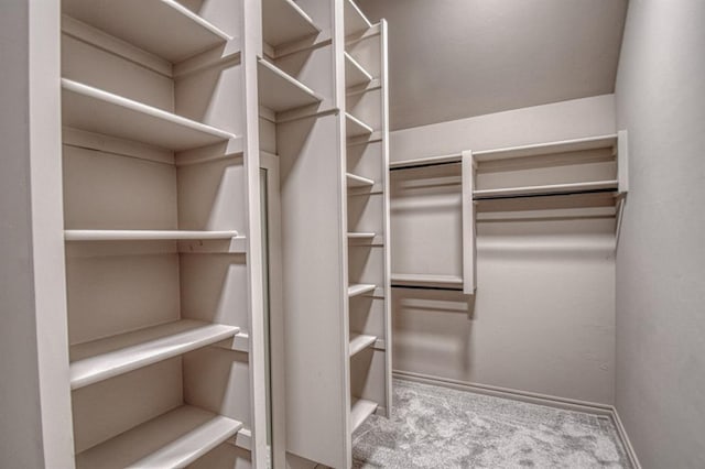 walk in closet featuring carpet flooring