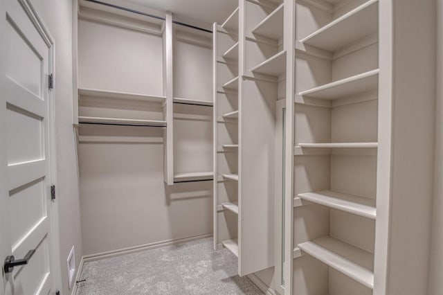 walk in closet with light carpet