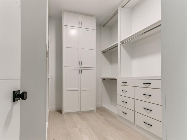 spacious closet featuring light wood-type flooring