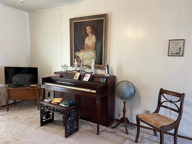 miscellaneous room featuring light colored carpet and wooden walls