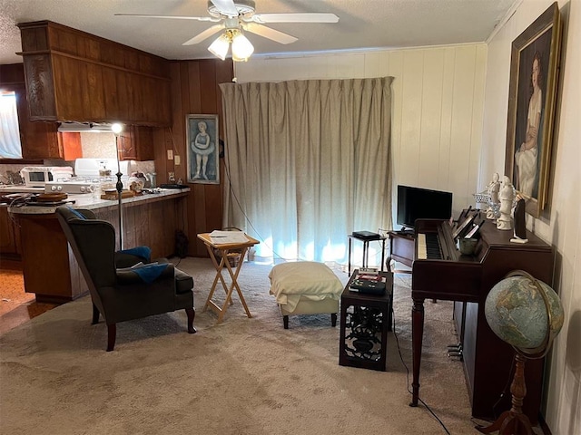 interior space with ceiling fan, light colored carpet, and a textured ceiling