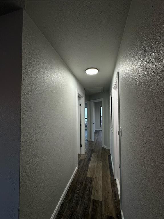 hallway featuring dark hardwood / wood-style floors