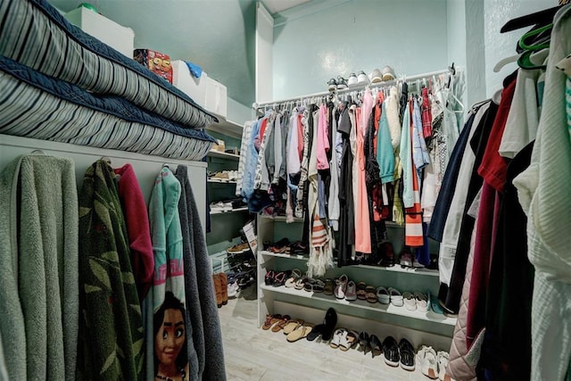 spacious closet with light wood-type flooring