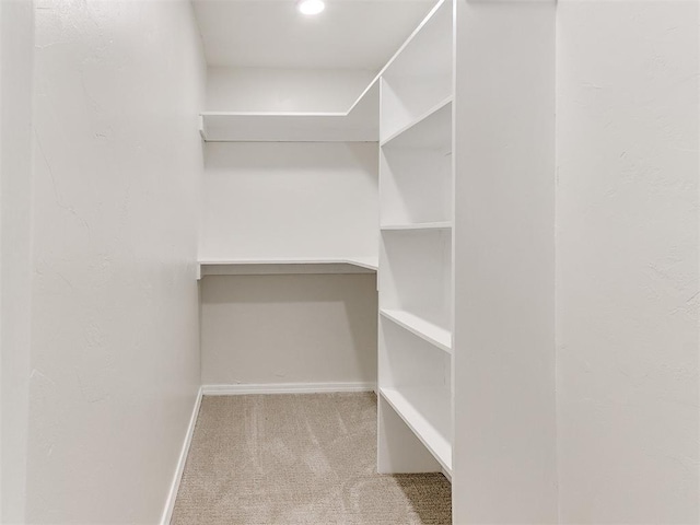 walk in closet featuring light carpet