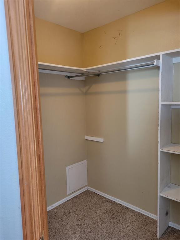 spacious closet with carpet