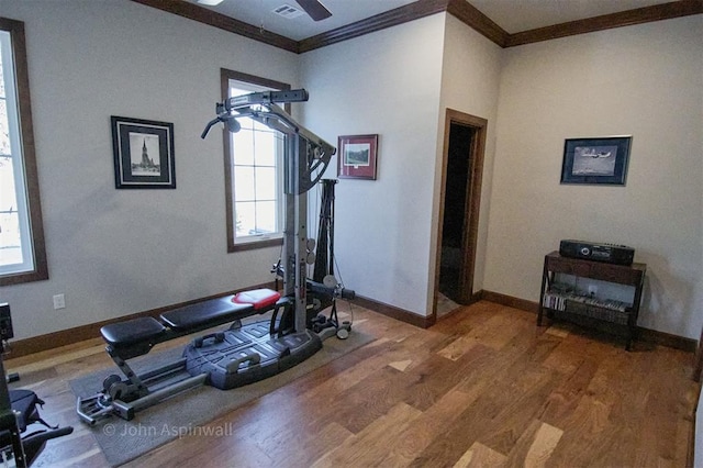 exercise area featuring wood-type flooring and ornamental molding