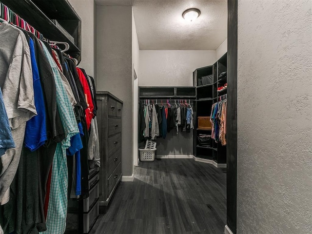 spacious closet with dark hardwood / wood-style flooring