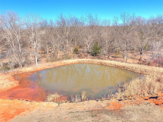 view of water feature