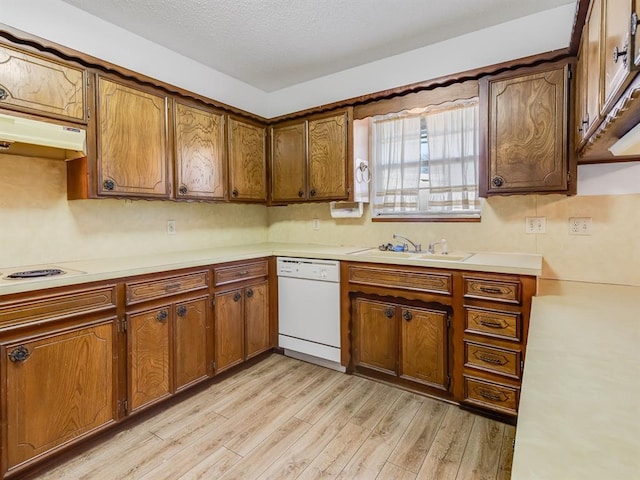 kitchen with sink, dishwasher, and light wood-type flooring