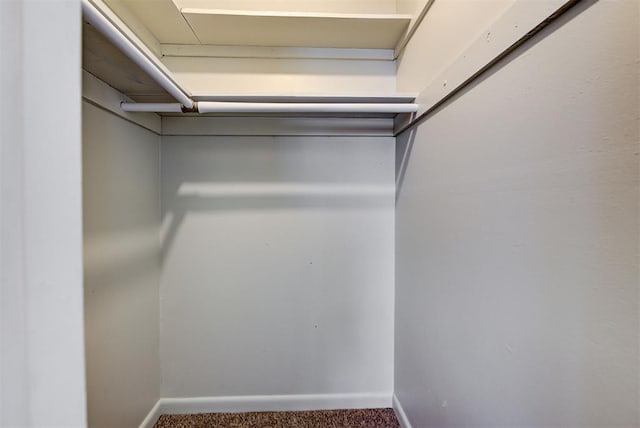 walk in closet featuring carpet floors