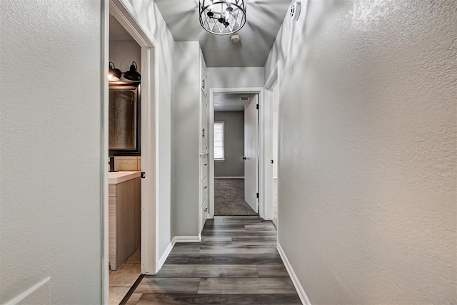 corridor featuring dark hardwood / wood-style floors