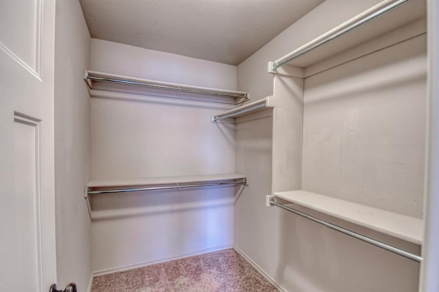 walk in closet with light carpet