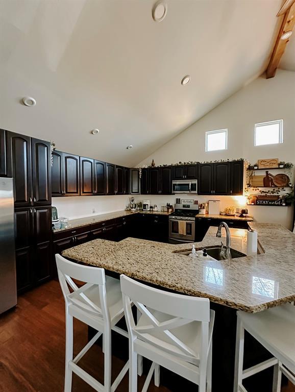 kitchen featuring light stone countertops, sink, dark hardwood / wood-style flooring, and stainless steel appliances