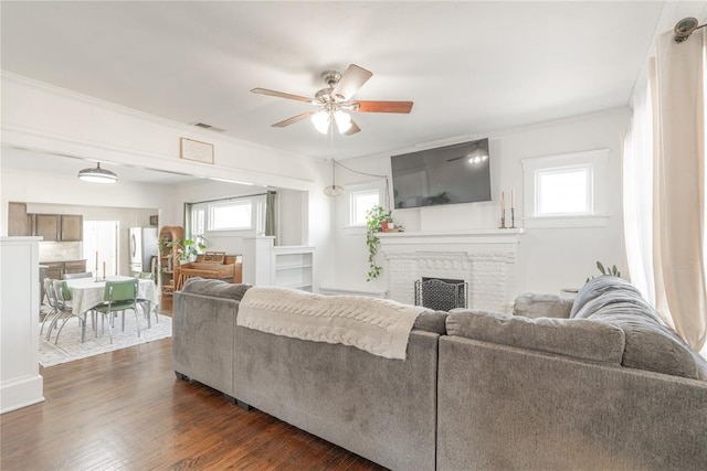 living area featuring dark wood-type flooring, a fireplace, visible vents, a ceiling fan, and ornamental molding