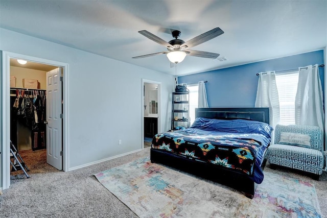 carpeted bedroom with ceiling fan, a walk in closet, ensuite bath, and multiple windows