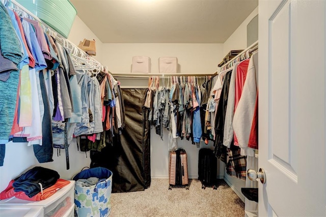 walk in closet featuring light colored carpet