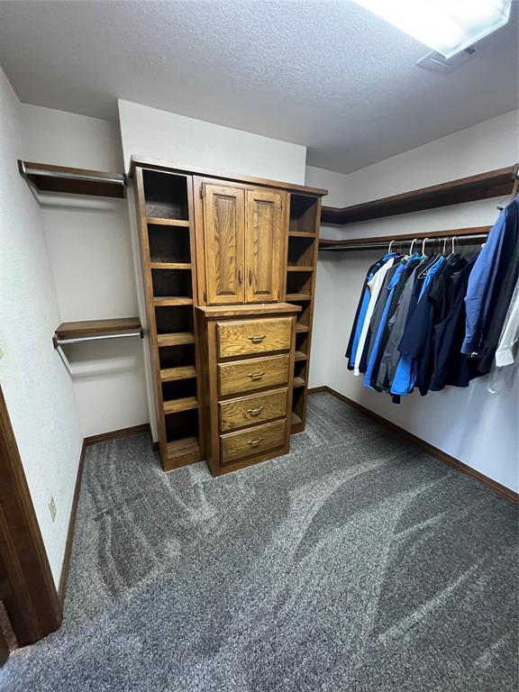 spacious closet with dark carpet