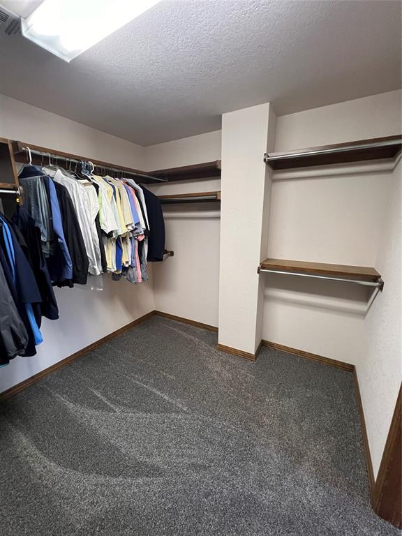 spacious closet with carpet floors and visible vents