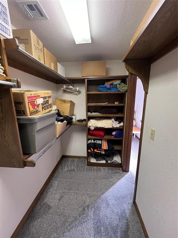 walk in closet featuring visible vents and carpet flooring