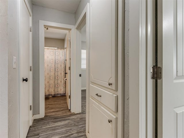 hallway featuring hardwood / wood-style floors