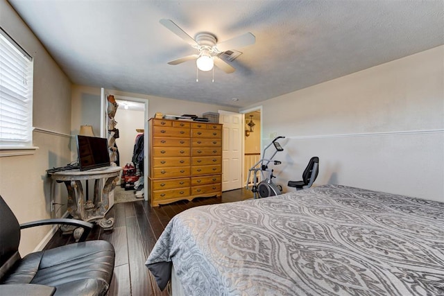 bedroom featuring ceiling fan, a walk in closet, a closet, and dark hardwood / wood-style flooring