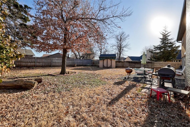 view of yard featuring a shed