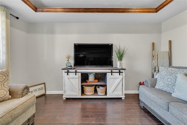 living room featuring a tray ceiling