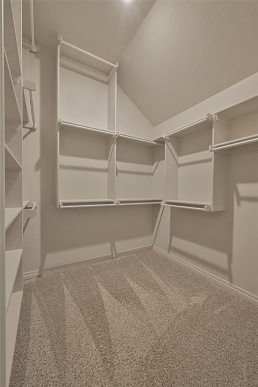 walk in closet featuring vaulted ceiling and carpet floors