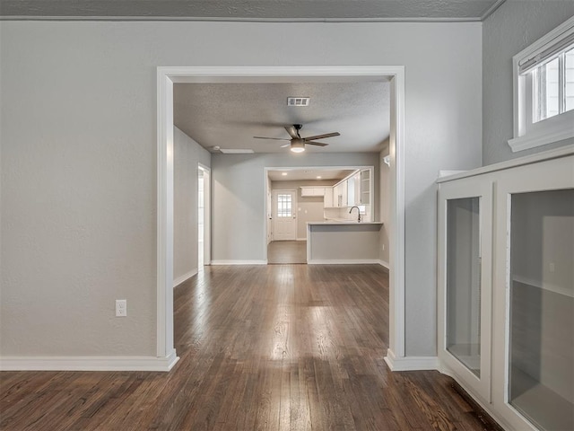 interior space with ceiling fan, a healthy amount of sunlight, dark wood-type flooring, and sink